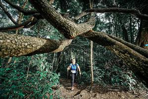 BIB: 
                            <button type="button" onclick="openModal(25705508)" class="btn btn-primary btn-sm float-right btn-popup" data-toggle="modal" data-target=".modal-high-quality">
                        <i class="fas fa-shopping-cart"></i> Add to Cart
                    </button>
                                            <button type="button" onclick="isThisMe(25705508, true)" class="btn btn-success btn-sm float-right btn-popup btn-isme hidden" data-toggle="tooltip" data-placement="bottom" title="นี่คือรูปของคุณใช่ไหม คลิกที่นี่เพื่อเอาเข้าอัลบั้ม">
                        <i class="fas fa-plus"></i> Add to album
                    </button>
                    <button type="button" onclick="isThisMe(25705508, false)" class="btn btn-warning btn-sm float-right btn-popup btn-isnotme hidden">
                        <i class="fas fa-ban"></i> Remove from album
                    </button>